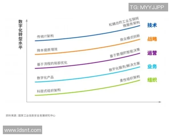 南京网球队运营揭秘:深度剖析背后的管理与发展策略 南京网球队运营揭秘:深度剖析背后的管理与发展策略