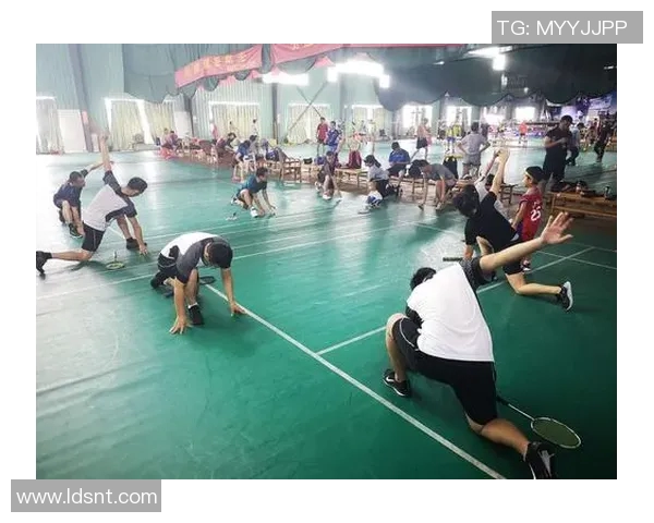 武汉羽毛球队：团队协作助力竞技提升与精神凝聚的探索之旅