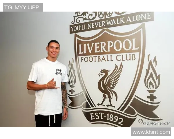 努涅斯在赛场上的精彩表现与未来发展潜力的深度分析与展望