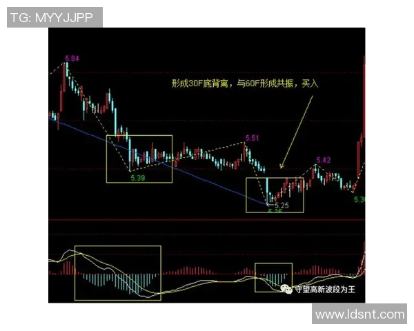 勇士与猛龙历史交锋战绩回顾及分析探讨