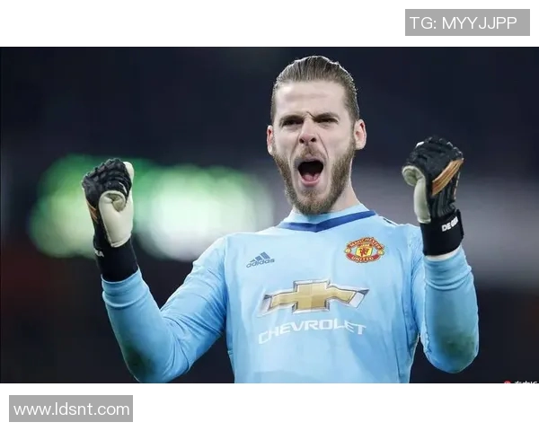 德赫亚神勇表现助曼联战胜埃弗顿决胜时刻展现门将风采