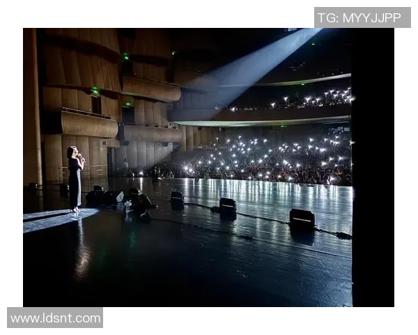 霍伊伦的传奇人生与艺术成就探索:从初学者到国际舞台的璀璨之路