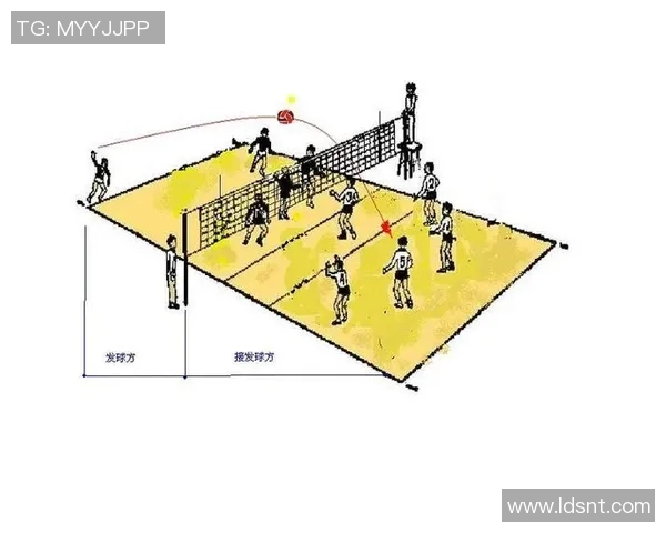 深圳排球队的灵活性探讨与战术创新分析