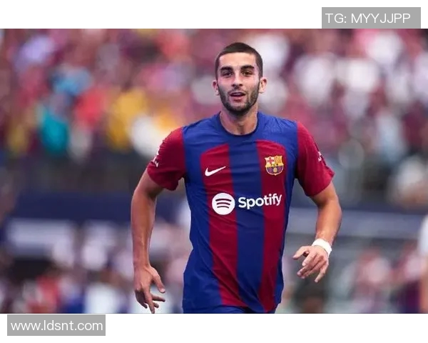 费兰托雷斯的足球之路与未来发展展望分析