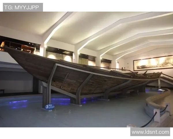 霍伊伦的传奇人生与科学探索之路：从理论到实践的跨越与启示