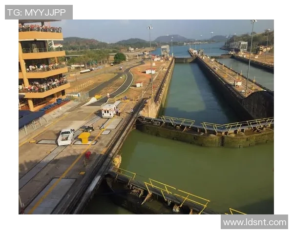 马力克的传奇旅程与奋斗精神启示我们追求梦想的勇气与坚持