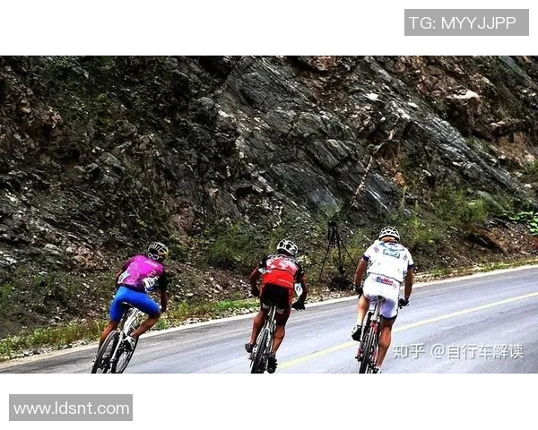 武汉极限运动队中路突破的成就与挑战分析