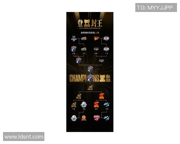 最新篮球耐力排行榜揭晓上海篮球队强势夺冠引关注